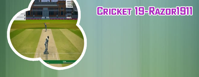 Cricket game 19