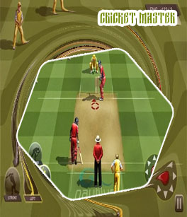Cricket master game
