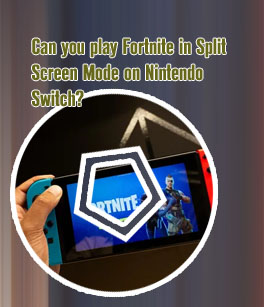 How to play fortnite on nintendo switch